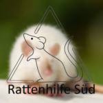 Spendenaktion für die Rattenhilfe Süd